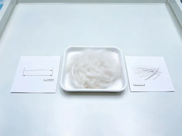 Staple fiber sample